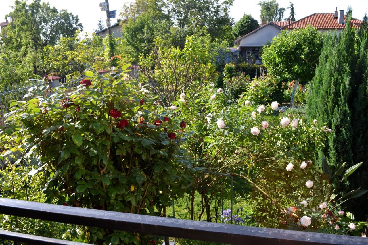 וארנה Sea & Garden Villa מראה חיצוני תמונה